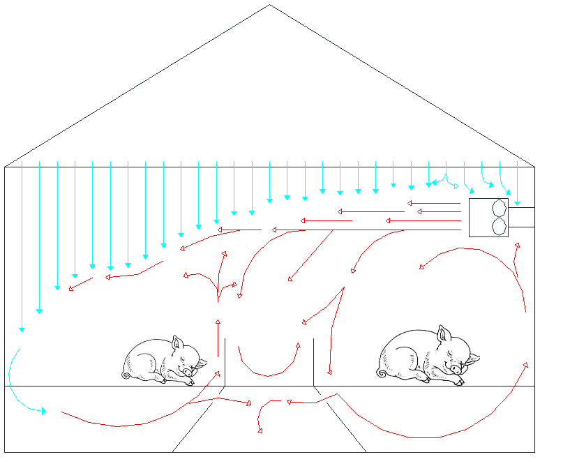 Ventilation classique, l'ambiance n'est pas homogène avec de grandes variations de température ayant un impact zootechnique
